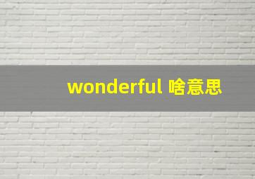 wonderful 啥意思